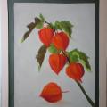 physalis