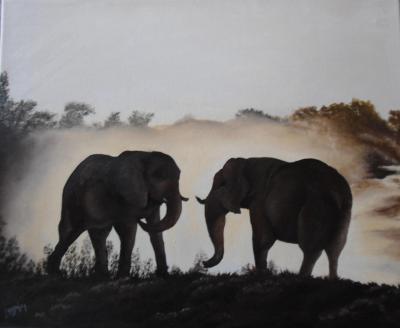 Elephants 1